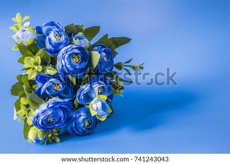 Violet flowers on a cobalt blue background. Beautiful blue glow background