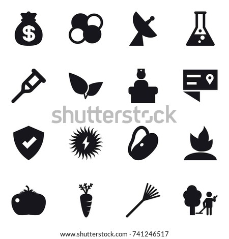 16 vector icon set : money bag, atom core, satellite antenna, flask, sprouting, tomato, carrot, rake, garden cleaning