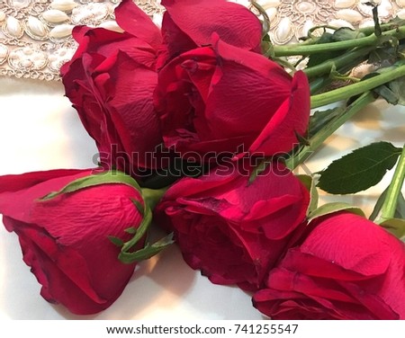 Beautiful Red Rose Wallpapers | Desktop Wallpaper | blurry Wallpaper | 