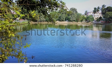 Beautiful pond
