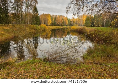 Bright autumn landscape of Nature of Leningrad region of Russia with the yellow leaves on the trees, falling leaves and reflections on the water surface
