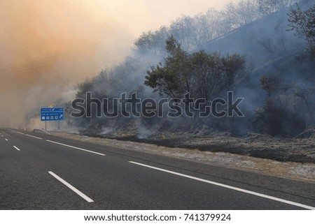 Fire on the road