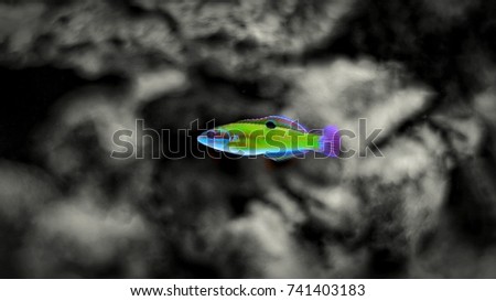 Black/White Reef scene with fish in natural colors
