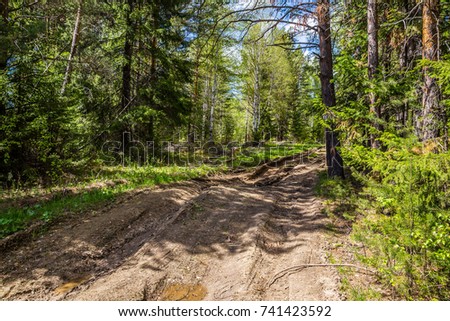 Beautiful and unusual roads and forest trails of Russia. Journey on foot through uncharted roads of a national Park. Summer in the forest. Panorama of the natural landscape. 