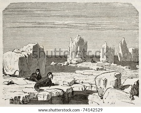 Old illustration of walruses on polar ice pack. Original, from unknown author, was published on L'Eau, by G. Tissandier, Hachette, Paris, 1873