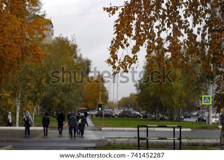 City street, trees with yellow and orange leaves, passers-by pass the road to the green traffic light signal, at the pedestrian crossing. Cloudy, rainy, gray sky. Autumn background