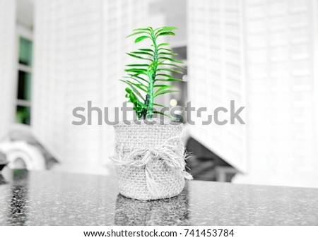 Little  tree in sack vase on table background, flowers in vase that converted picture to black and white but still green color