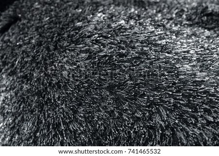 Carpet close up abstract textured surface background