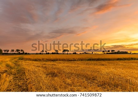 Spectacular sunset over stubble field. Polish countryside after harvest.