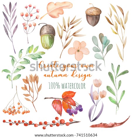 Set of watercolor autumn plants: yellow leaves, fall berries, acorns and other;  hand painted isolated on a white background