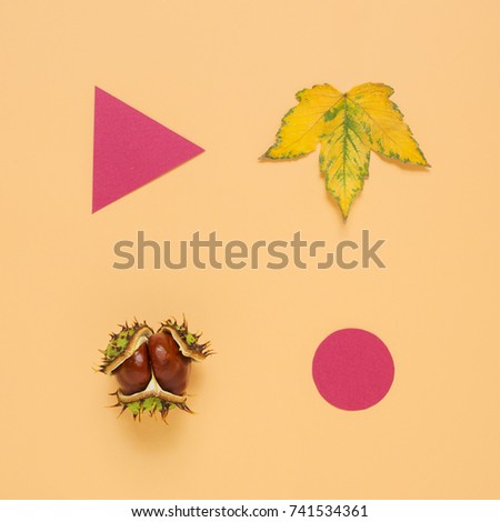 Autumn photo composition of chestnut, leaf and geometry figures on a beige background. Still life concept. Object photography.