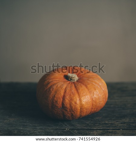 Orange Halloween pumpkin over rustic wall with copyspace. Halloween and thanksgiving holiday background design.