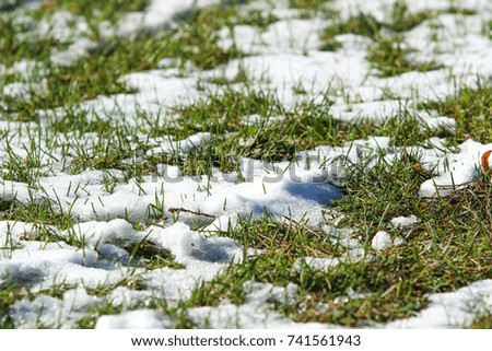 the first snow on the green grass, autumn