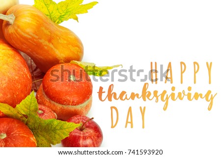 Happy Thanksgiving tag with autumn pumpkins 