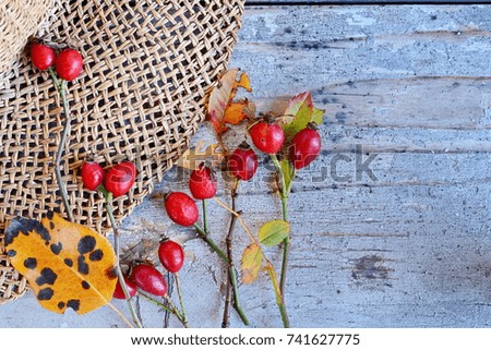 Autumn background with colorful fall leaves on rustic wooden table with place for text. Thanksgiving autumn holidays background concept. Frame with autumn leaves. Copy space. Top view.