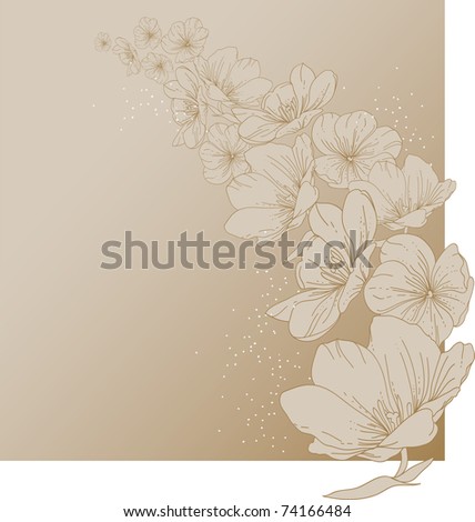 Floral background with blooming tulips