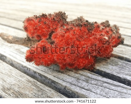 Interesting red/orange decoration