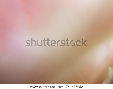 Blur yellow and pink color light background