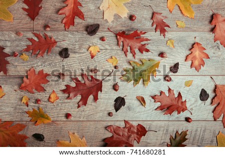 Autumn arrangement of colorful leaves, acorn, chestnut fruit on a wooden background with free space for text. Top view, season concept, toned retro effect, flat lay