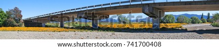 Poppies & Bridge - Panorama - A panoramic image of a concrete bridge 
with a dry stream bed of orange poppies flowing underneath