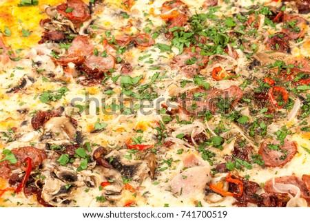 Hot sliced delicious homemade pepperoni italian pizza with salami mozzarella cheese and tomato sauce. Traditional fast food dish concept. Detailed close up studio shot isolated on a white background