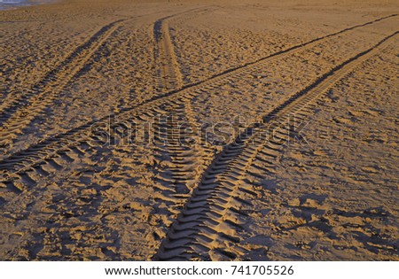 Beach with signs and symbols. Royalty-Free Stock Photo #741705526