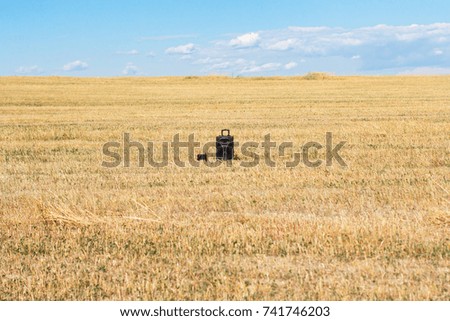 Large audio speaker, sound system in countryside wheat field
