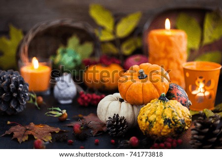 Autumnal colorful  pumpkins  on candle and fallen leaves background, Halloween or Thanksgiving concept
