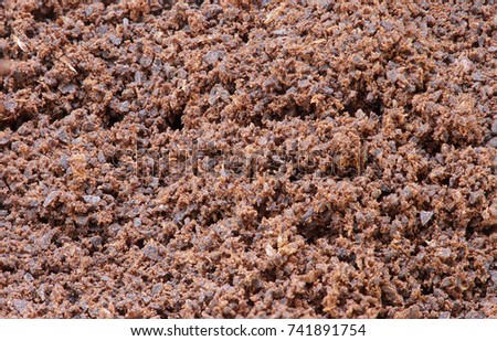 Bulk Roasted Coffee Beans powder in natural windows lighting, HDR Macro stacking photography, detail of grain texture