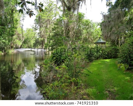 Garden bridge at Magnolia Plantations in Charleston, South Carolina