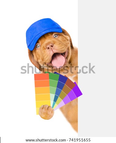 Funny puppy in blue hat with color samples. isolated on white background