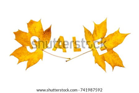 Discounts in the autumn period. Letter carved on a beautiful yellow maple leaf on a white background closeup
