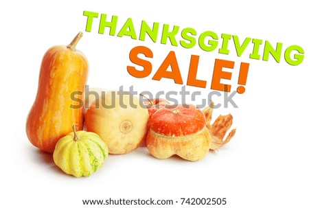 Happy Thanksgiving Sale tag with autumn pumpkins 