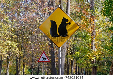 Yellow sign with a picture of squirrel with nut and warning sign "Caution, moose" in autumn park