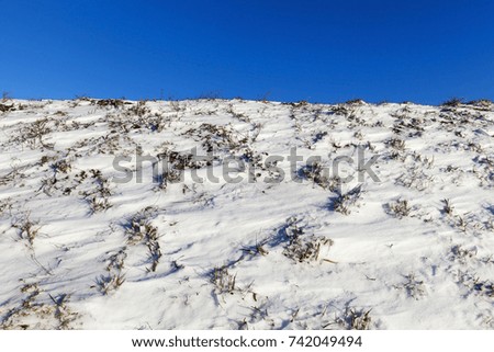 snow-covered dry and withered grass in the winter season, a photo with a blue sky