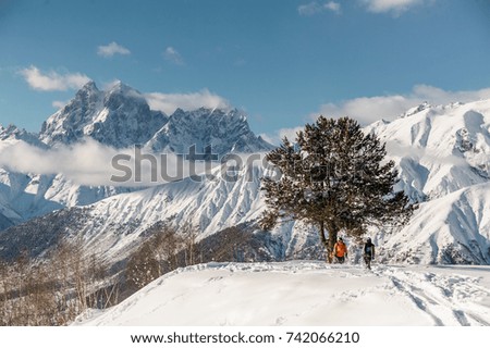 Scenic view of snowboard riders standing near the tree on the background of high mountains