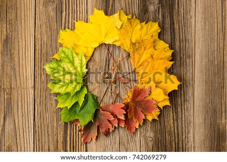 Colorful and bright background from a circle of autumn leaves, on a wooden background. Autumn concept.