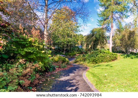 The beautiful park in Birnam near Dunkeld in Scotland. A footpath makes its way through the centre of the image inbetween threes and bushes in full autumn colour in Scotland.