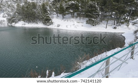 Photo of frozen lake in a cold winter day with swans swimming