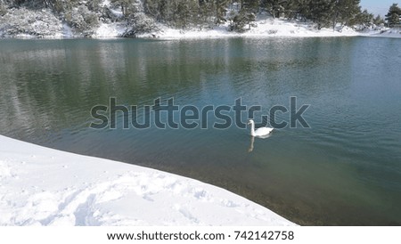 Photo of frozen lake in a cold winter day