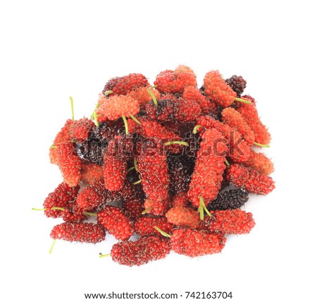 Fresh ripe mulberry berries  isolated on white background