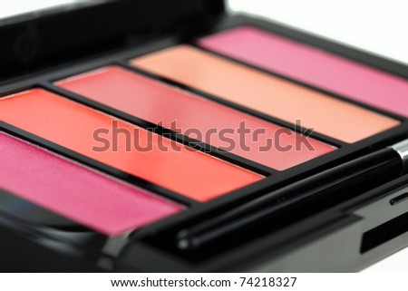 Lip gloss palette , macro shot