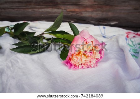 Single pink peony flower on white embroidery linen fabric