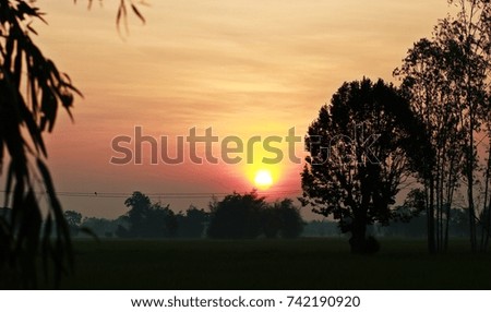 The orange light of the morning sun reflects the trees in a beautiful silhouette.