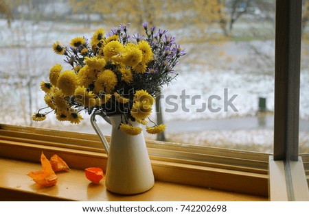 a bouquet of autumn  flowers on the windowsill against first snow background