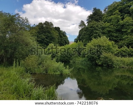 The River Avon at Hale Park in June