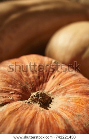 Pumpkins on display at farmer's market in Amish Country, Lancaster County, Pennsylvania, USA