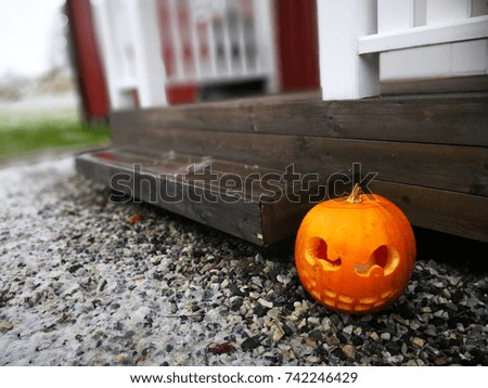 Halloween house  decoration