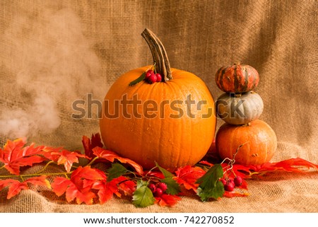 Close up various pumkins and red leaves