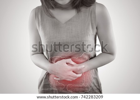 The photo of large intestine is on the woman's body, isolate on white background, Female anatomy concept Royalty-Free Stock Photo #742283209
